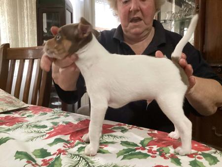 Click to view more details