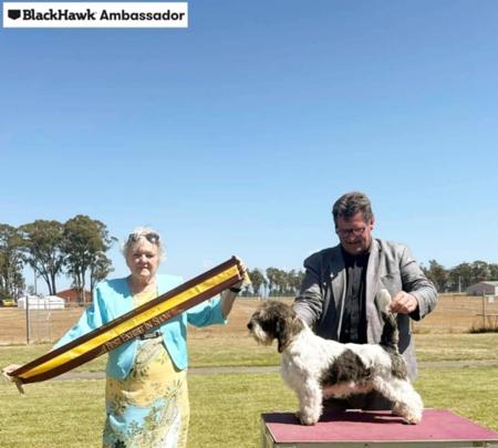 Click to view more details