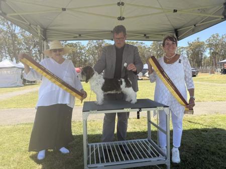 Click to view more details