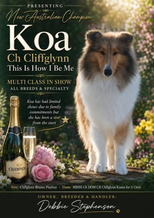 Australian Champion Cliffglynn This Is How I Be Me Collie (Rough)