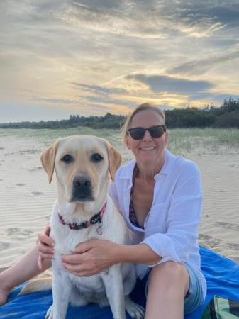 Labrador Retriever for sale by COLWINN