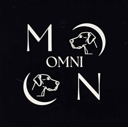 Great Dane for sale by OMNIMOON