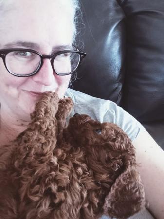 Poodle (Miniature) for sale by CHERRILOLA