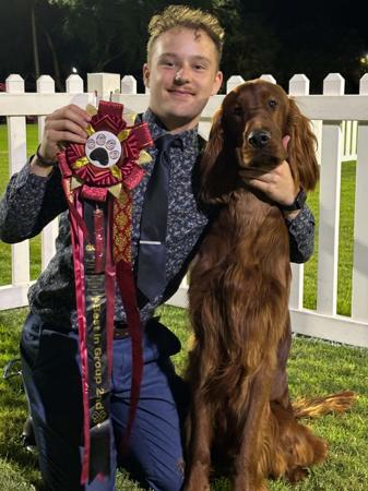 Carlowa Southern Stunner (AI) Irish Setter