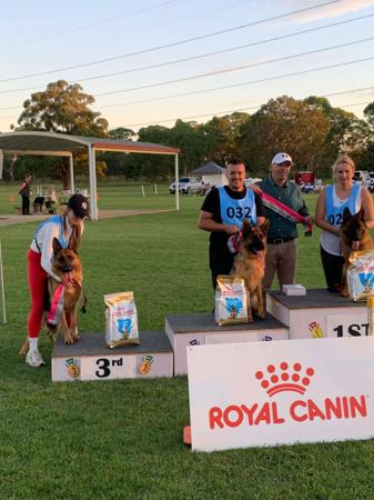 German Shepherd Dog for sale by ILIGDEN