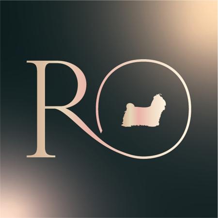 Shih Tzu for sale by STEVEN6463