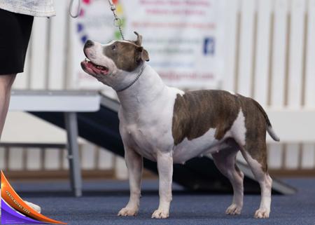 Click to view more details