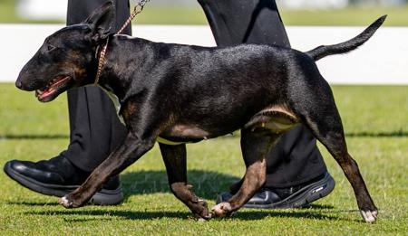 Click to view more details