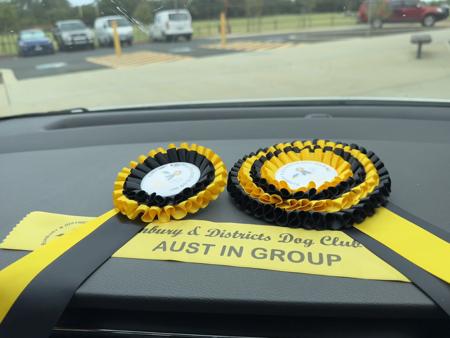 Poodle (Standard) for sale by DAYTOY