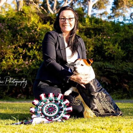 Staffordshire Bull Terrier for sale by XTRABULSBT