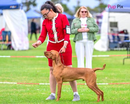 Click to view more details