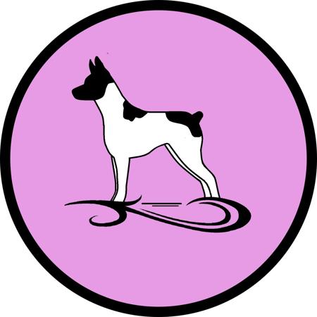 Tenterfield Terrier for sale by SOUTHWINDS