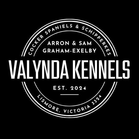 Schipperke for sale by VALYNDA