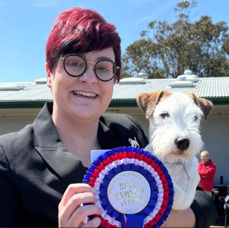 Parson Russell Terrier for sale by FOXBOLT