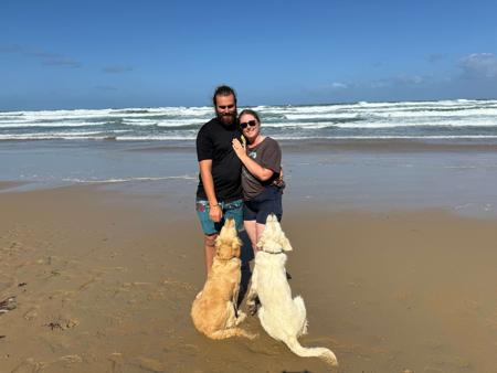 Golden Retriever for sale by CATLAGOLD