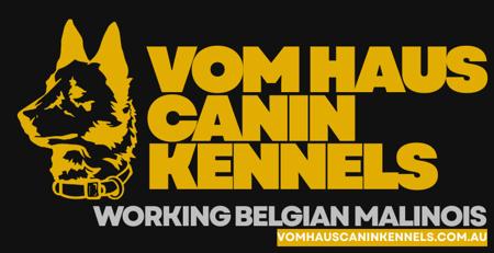 Belgian Shepherd Dog (Malinois) for sale by VOMHAUSCANIN