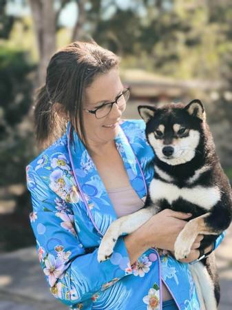 Shiba Inu for sale by HASUMI