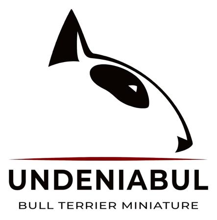 Bull Terrier (Miniature) for sale by UNDENIABUL