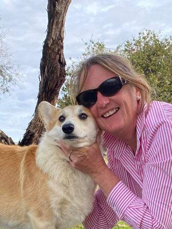 Welsh Corgi (Pembroke) for sale by CORGWN