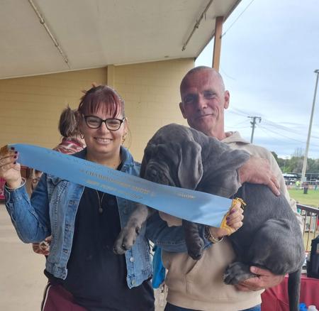 Lamiaombra Armani Neapolitan Mastiff