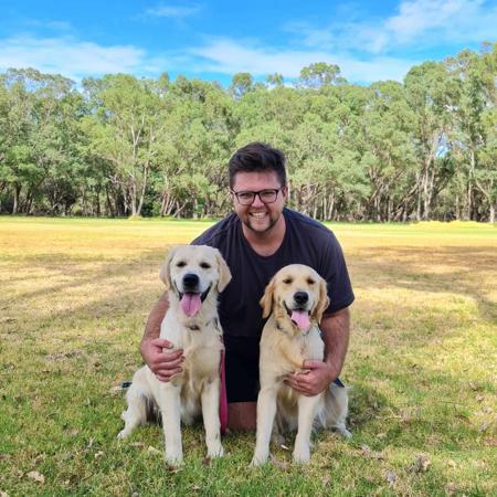 Golden Retriever for sale by KOORA