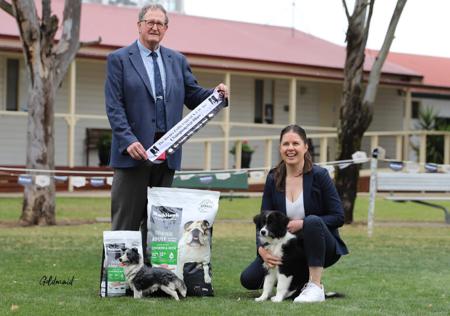 Border Collie for sale by BEAUSTRONG