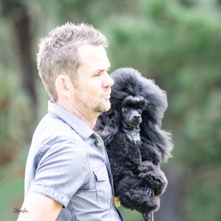 Poodle (Toy) for sale by WARRANGO