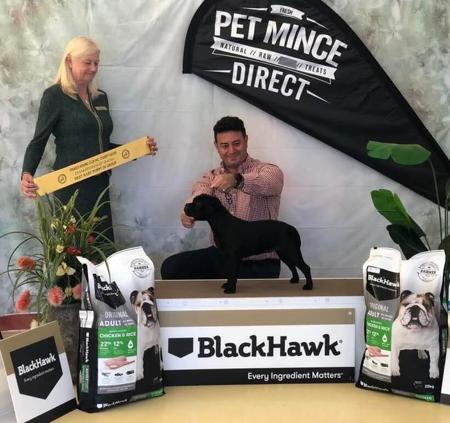 Staffordshire Bull Terrier for sale by HUX