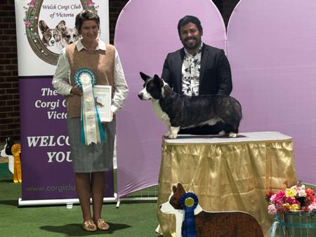 https://dkw0th85j7rqd.cloudfront.net/uploads/ap-southeast-2:2e9f1b04-6a76-c241-6d0e-ac0487c99617/1778324565092-igeu3r-OYATEMAN.jpg