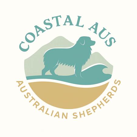 Australian Shepherd for sale by COASTALAUS