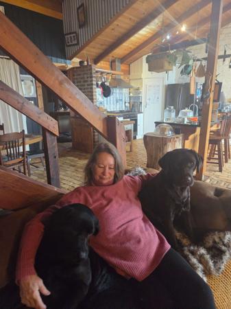 Labrador Retriever for sale by DUNGLENLABS