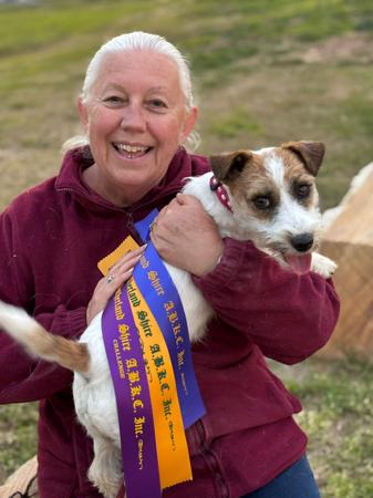 Jack Russell Terrier for sale by BASILHAWK