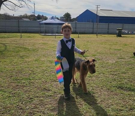 Airedale Terrier for sale by MERRIEDALE