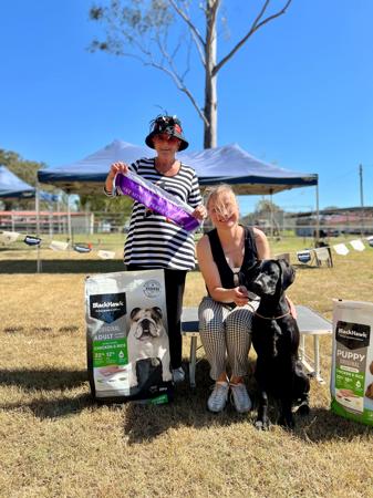 German Shorthaired Pointer for sale by SUNNYHAAR