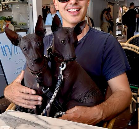 Peruvian Hairless Dog (Small) for sale by VALDASSA