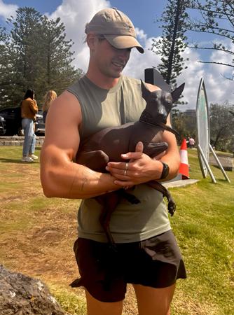 Peruvian Hairless Dog (Small) for sale by VALDASSA