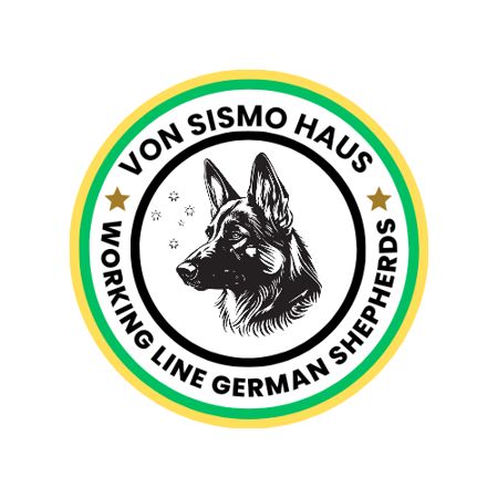 German Shepherd Dog for sale by VONSISMO