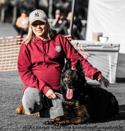 German Shepherd Dog for sale by PASKARLA