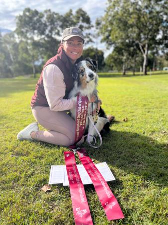 Australian Shepherd for sale by HERDRE