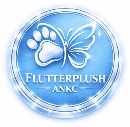 Pomeranian for sale by FLUTTERPLUSH