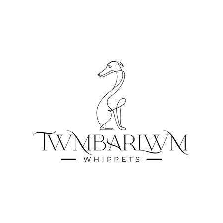 Whippet for sale by TWMBARLWM