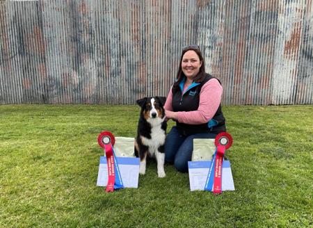 Australian Shepherd for sale by MILBRE
