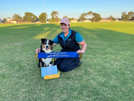 Australian Shepherd for sale by MILBRE