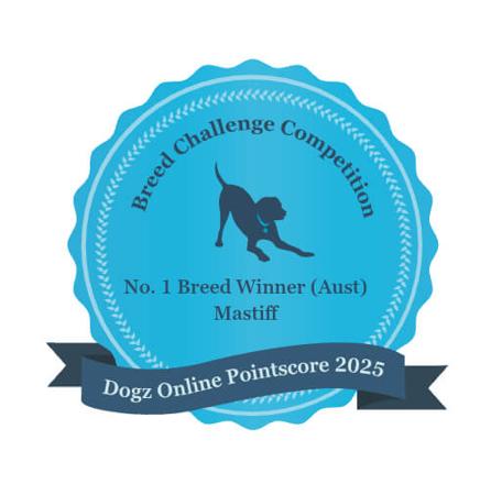 Mastiff for sale by CAELICAN
