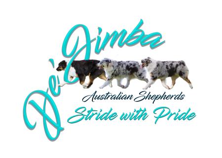 Australian Shepherd for sale by DEJIMBA
