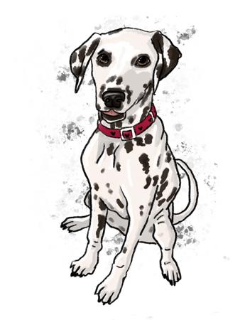 Dalmatian for sale by WESTERNDALS
