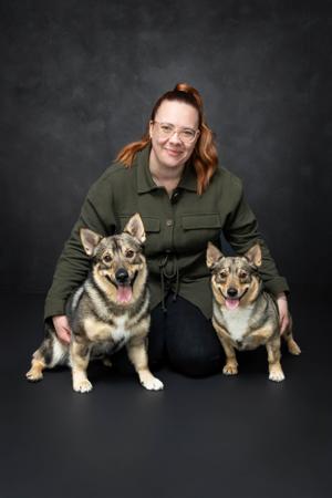 Swedish Vallhund for sale by LUHUND