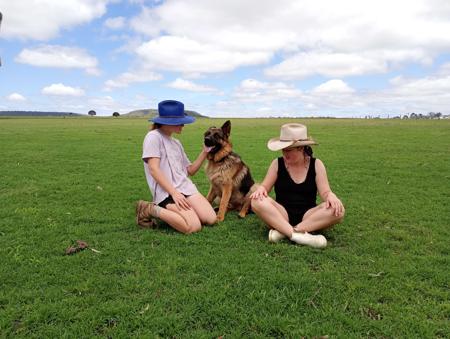 German Shepherd Dog for sale by PRINKIPAS