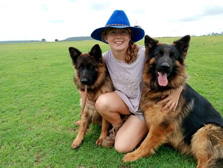 German Shepherd Dog (Long Stock Coat) for sale by PRINKIPAS