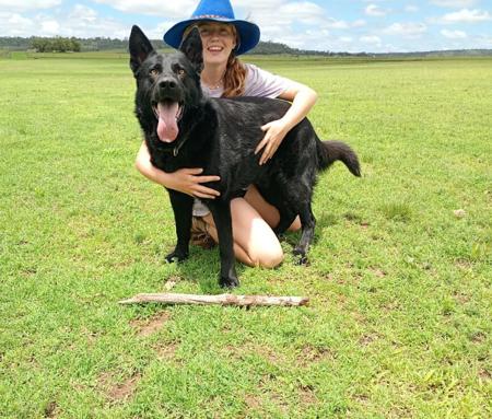 German Shepherd Dog (Long Stock Coat) for sale by PRINKIPAS